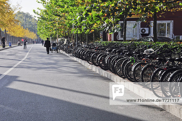 Straße  parken  lang  langes  langer  lange  vorwärts  Fahrrad  Rad