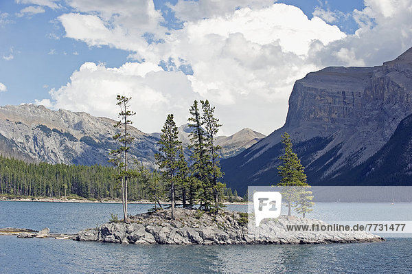 Trees Growing On A Small Rock Island In A Mountain Lake  Banff Alberta Canada