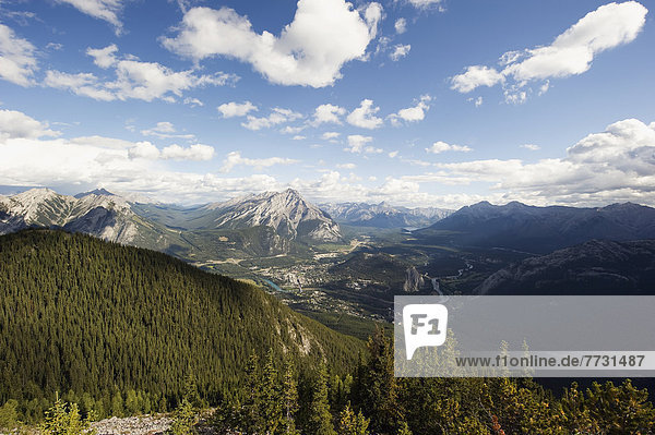 Landscape With View Of The Forest And The Canadian Rocky Mountains  Alberta Canada