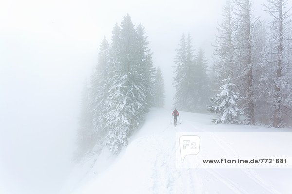 Ski hiker in Kalkalpen National Park Austria