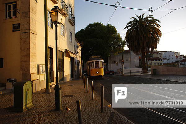 Straßenbahn am Morgen  Alfama  Lissabon  Portrugal
