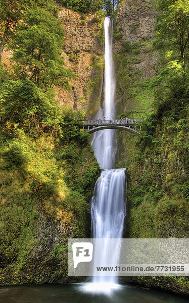 Full Height Of Multnomah Falls  Oregon United States Of America