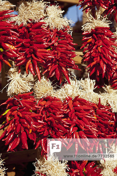 Red Chili Restras hanging outside souvenir store  Santa Fe  New Mexico  USA