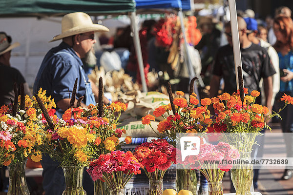 Shoppers at Santa Fe Saturday Market next to rail yard enjoy bounty of fall harvest  Santa Fe  New Mexico  USA