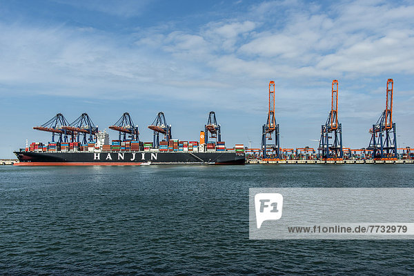 Container-Terminal im Hafen Rotterdam  Niederlande