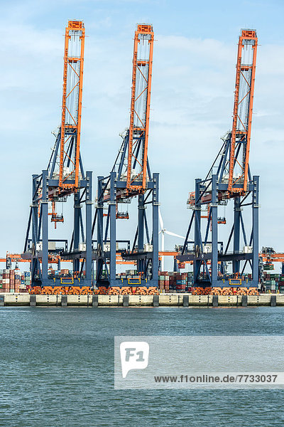 Container-Terminal im Hafen Rotterdam  Niederlande