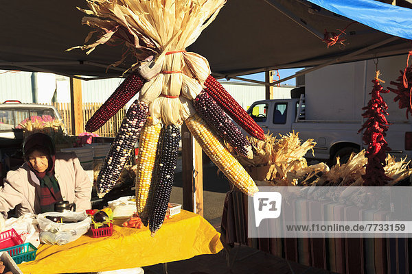 Mais  Zuckermais  Kukuruz  Vereinigte Staaten von Amerika  USA  zeigen  hängen  lila  getrocknet  Markt  New Mexico  Santa Fe  Samstag