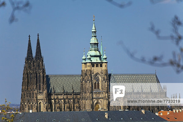 Czech Republic  Cathedral against blue sky  Prague