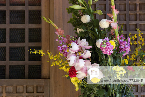 Blumenstrauß Strauß Blume frontal Japan japanisch Wakayama