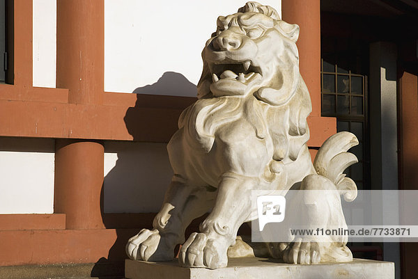 Löwe  Panthera leo  frontal  Statue  Japan  japanisch  Kyoto