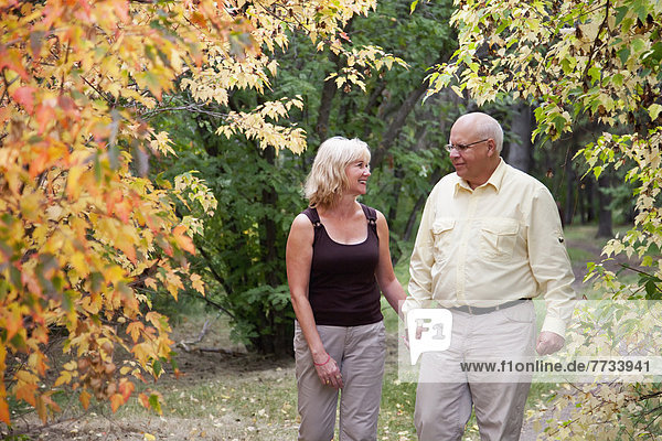 Mature Married Couple Walking Together In Park During Fall Season  Edmonton  Alberta  Canada