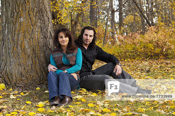 Portrait Of A Married Couple Sitting Under A Tree In Autumn  Edmonton  Alberta  Canada