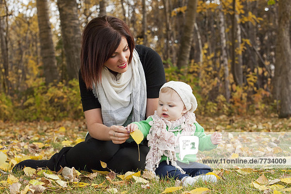 Herbst  Mädchen  Mutter - Mensch  Alberta  Baby  Kanada  Edmonton