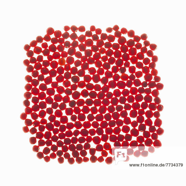 weiß  Hintergrund  Kreis  rot  Beerenobst