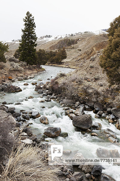 rennen  Bach  Spur  Yellowstone Nationalpark  Schnee