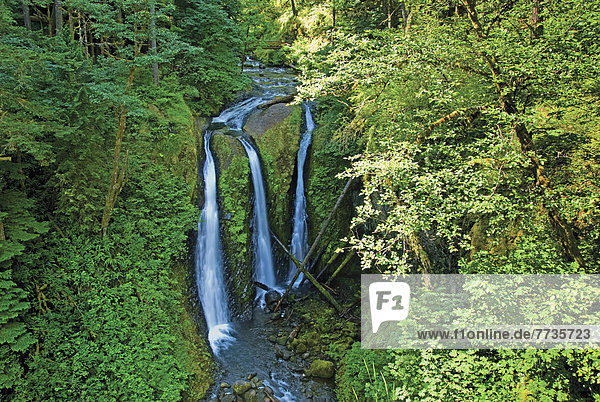 Triple Waterfall  Oregon United States Of America