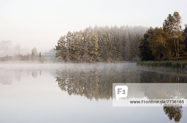 Mist Over A Tranquil Lake  Moulin De Boiron Gedinne Belgium
