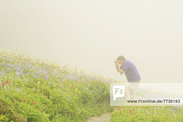 nahe Skyline Skylines Mann folgen wandern Wildblume fotografieren Berg Mount Rainier Nationalpark Paradies