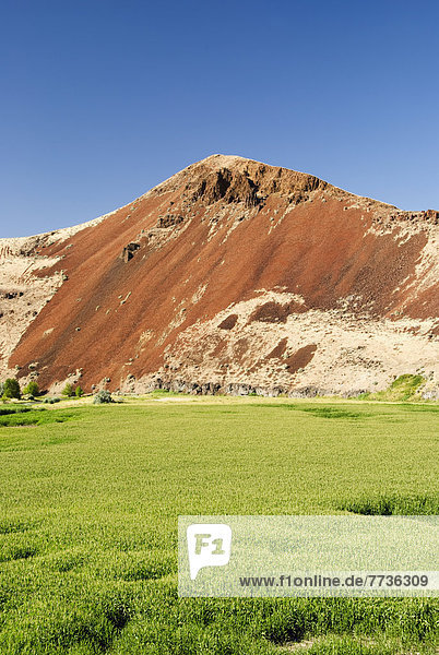 Red Hillside And Green Field  Idaho United States Of America