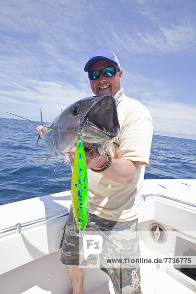 Mann  fangen  halten  Thunfisch  Panama