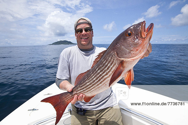 Man holds fresh caught mullet snapper  panama