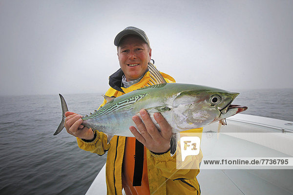 Man holding fresh caught false albacore tuna  martha's vineyard massachusetts united states of america