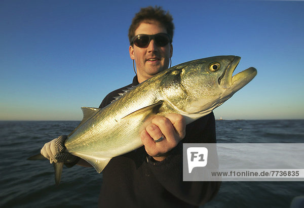 Man holding fresh caught blue fish  boston massachussets united states of america