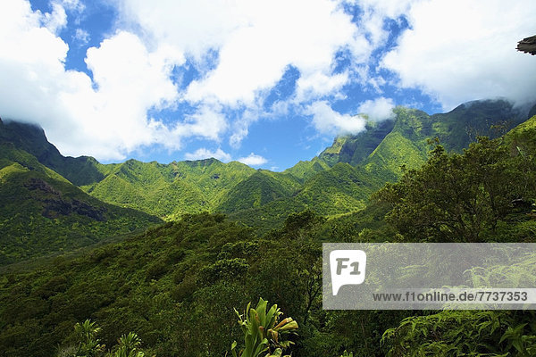 Berg  Überfluss  Wachstum  Tal  Insel  hawaiianisch