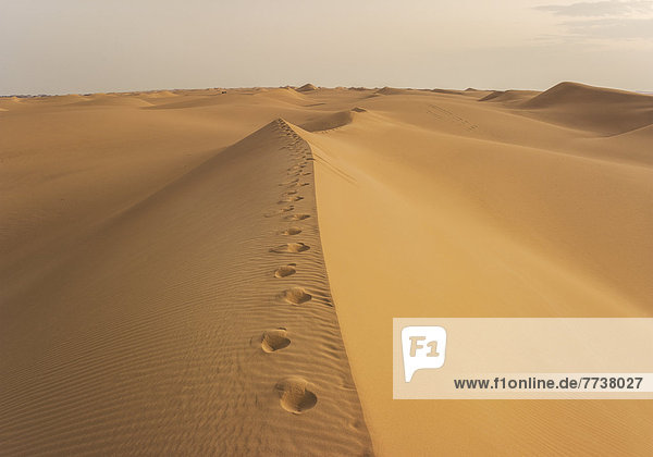 Fußspuren in Sanddüne  Sahara  Ägypten