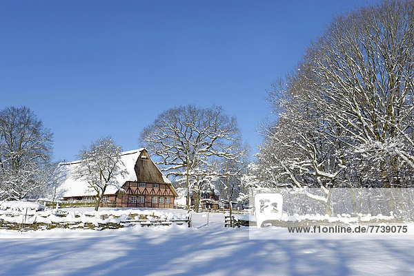 Spiekerhus  historic building in winter