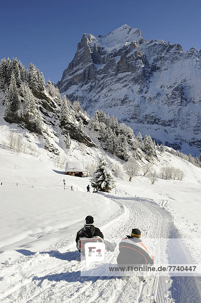Schlitten fahren alpine Piste hinunter Wetterhorn hinten Schweiz Europa
