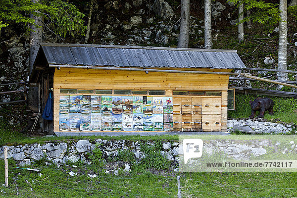 Nationalpark Europa streichen streicht streichend anstreichen anstreichend Alpen Bienenstock Slowenien