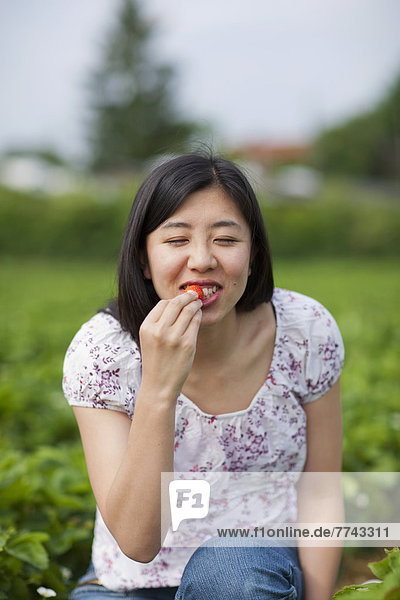Junge Japanerin isst frische Erdbeeren im Erdbeerfeld