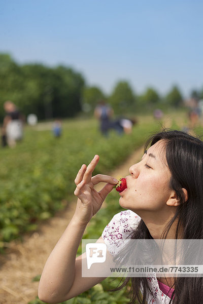 Junge Japanerin isst Erdbeere im Feld