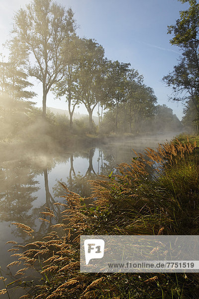 Canal des Vosges früher Canal de l?Est bei PK 100 5 mit Morgennebel und Morgensonne