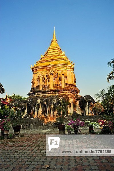 Chiang Mai  Thailand