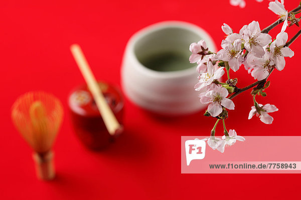 Cherry blossoms and green tea set
