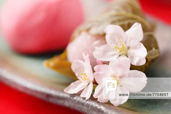 Cherry blossoms and Japanese confectionery