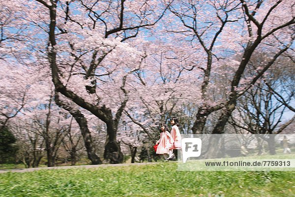 Female twins running through cherry trees