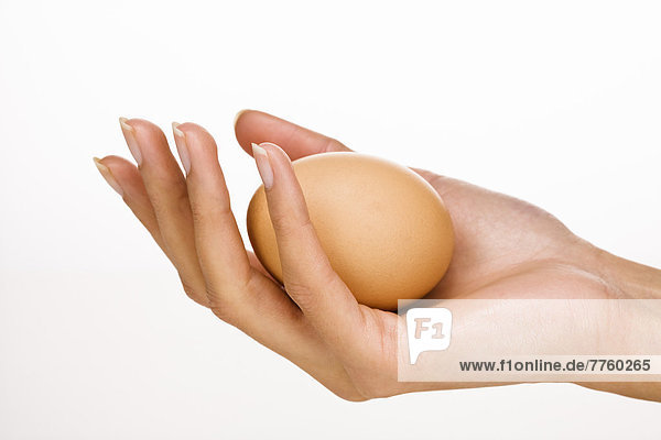 Die Hand der Frau  die ein Ei hält