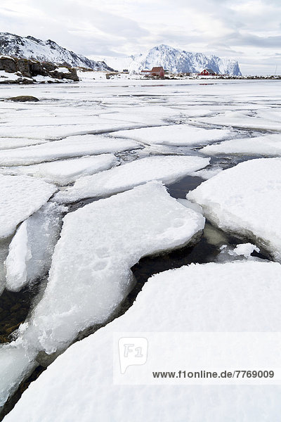 Eisschollen auf Fjord in nordischer Winterlandschaft
