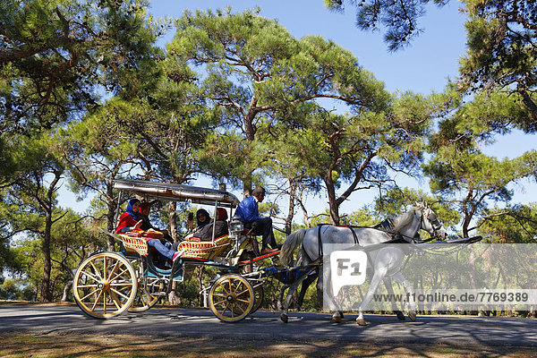 Horse-drawn carriage
