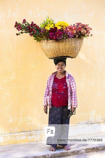 Frau  Frische  tragen  Blume  Tradition  Korb  streichen  streicht  streichend  anstreichen  anstreichend  groß  großes  großer  große  großen  Myanmar  Asien  Nyaung U