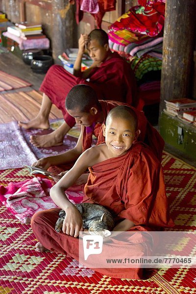 Spiel  fünfstöckig  Buddhismus  Myanmar  Asien  Inle See  Mönch  Shan Staat