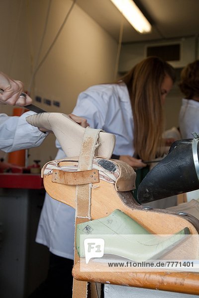 Europa Labor Modell Fußbekleidung Holz Schule (Einrichtung) Emilia-Romangna Italien