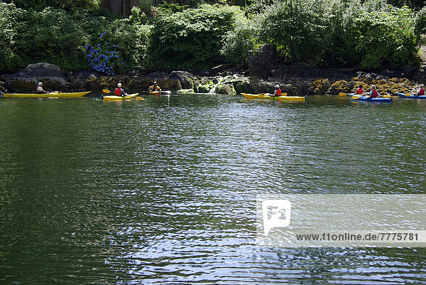 Kayak tour in Deep Cove near Vancouver  Canada