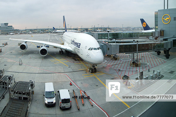 'Lufthansa A380-800 ''Frankfurt am Main'' vor dem Start am frühen Morgen'