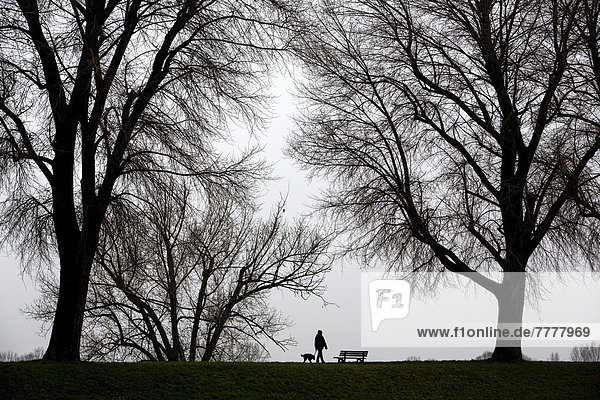 Frau mit Hund beim Spaziergang  tristes Winterwetter  Nebel  kahle Bäume