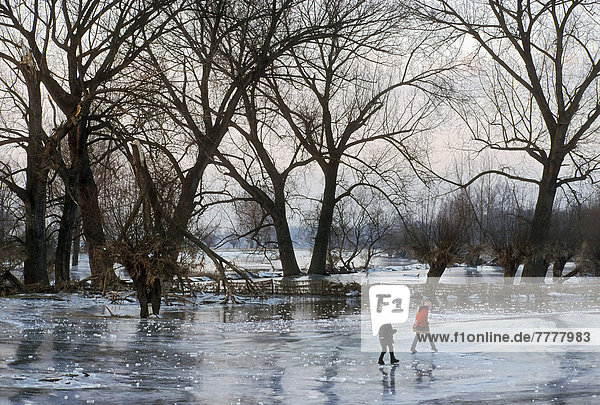 Kinder laufen über Eisfläche vom Rheinhochwasser