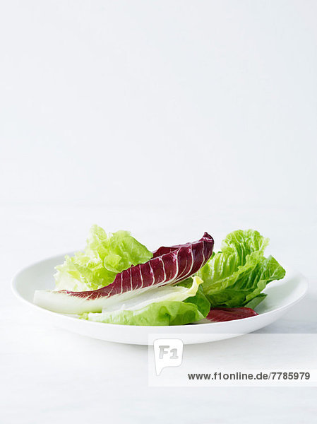 Gemischte Salatblätter auf weißem Teller